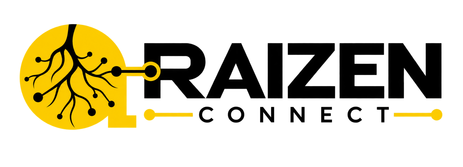 Raizen Connect